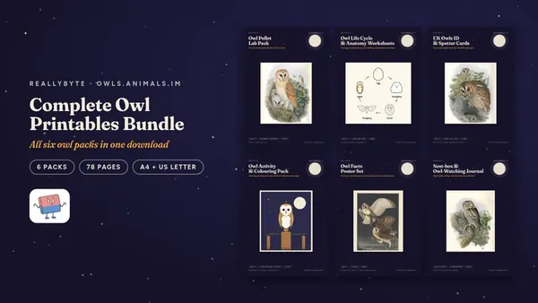 Cover of the Owls printables bundle from owls.animals.im