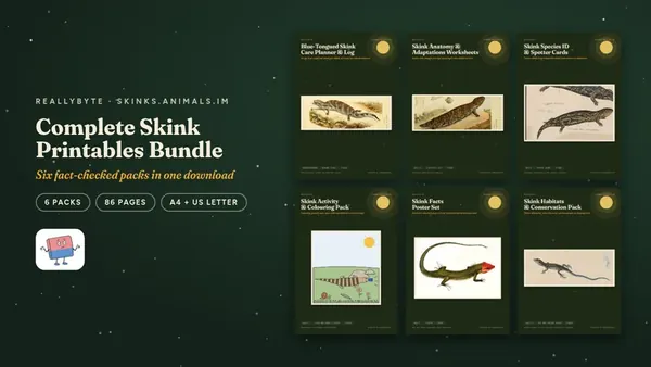Cover of the Skinks printables bundle from skinks.animals.im