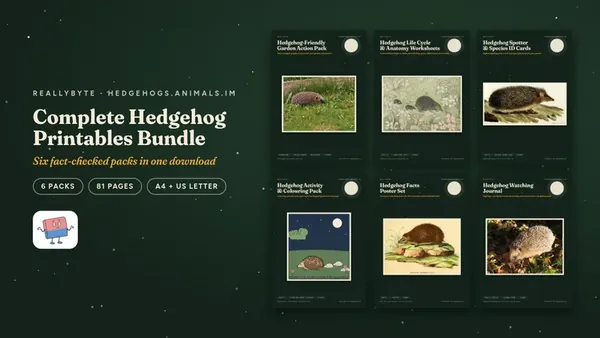 Cover of the Hedgehogs printables bundle from hedgehogs.animals.im